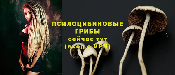 PSILOCYBIN Алексин