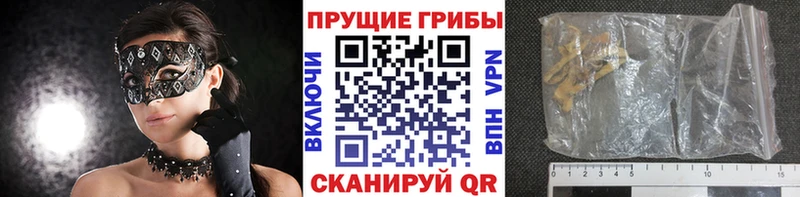 blacksprut ссылки  Новая Ляля  Галлюциногенные грибы MAGIC MUSHROOMS  купить наркотик 